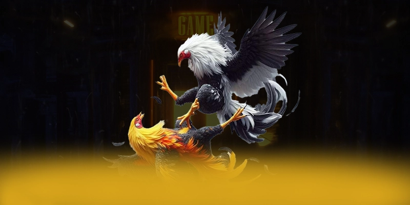 KKWIN - Trang game được game thủ tin tưởng được yêu thích nhất KKWIN - Trang game được game thủ tin tưởng được yêu thích nhất