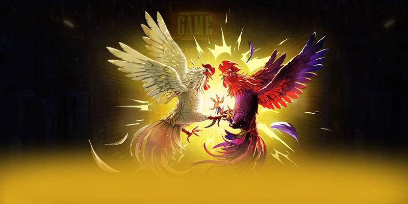 
Khám phá ngay FC88 - Sảnh game chất lượng 2025
